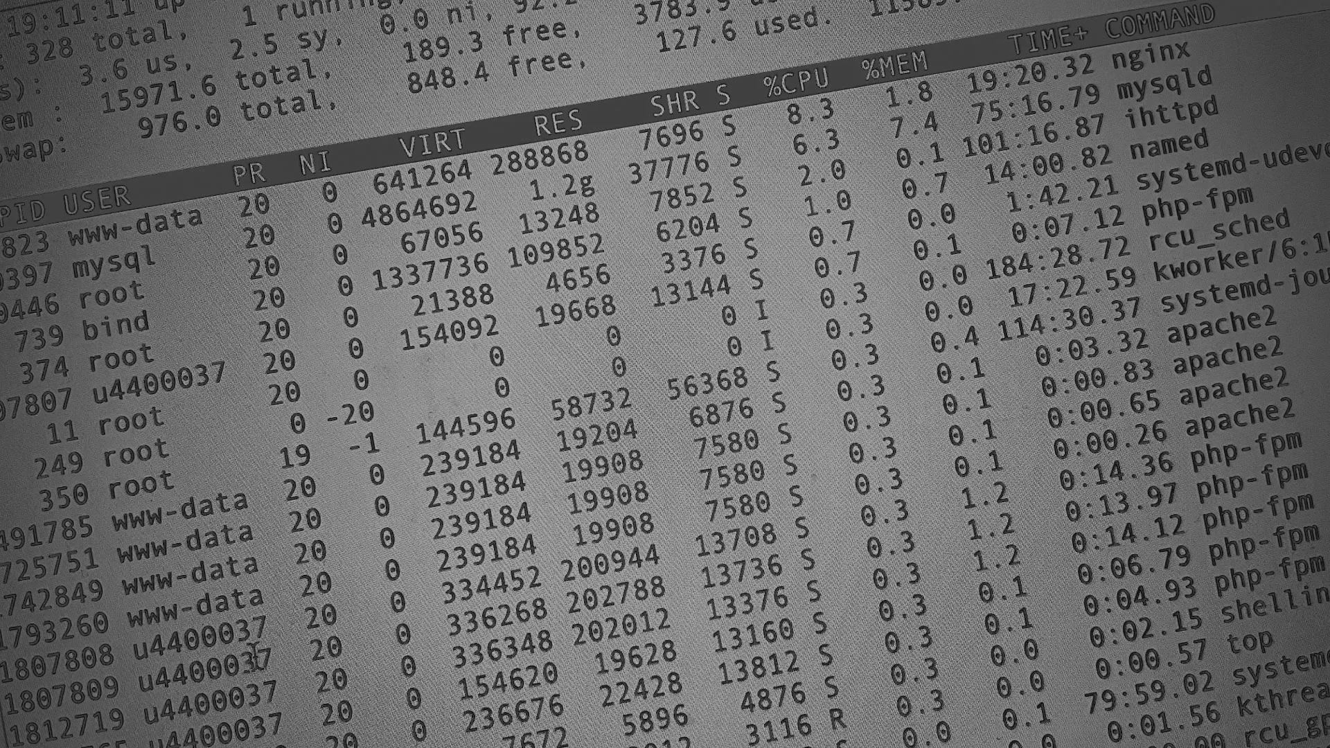 Настройка сервера в Сарапуле