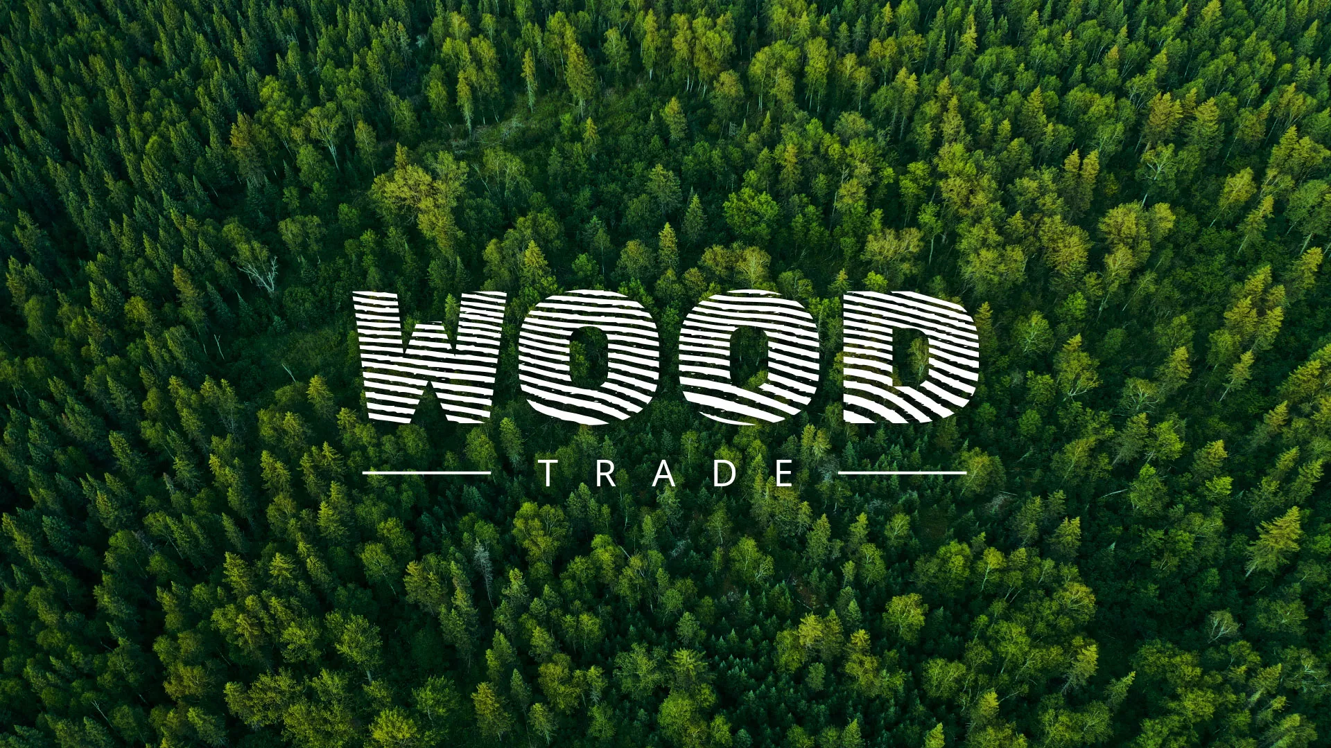 Разработка интернет-магазина компании «Wood Trade» в Сарапуле