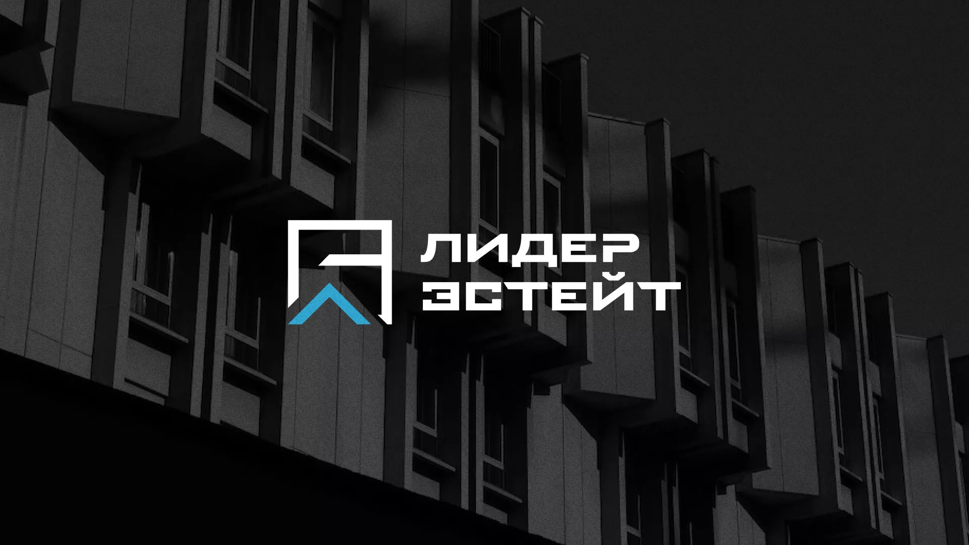 Разработка логотипа агентства недвижимости «Лидер Эстейт» в Сарапуле